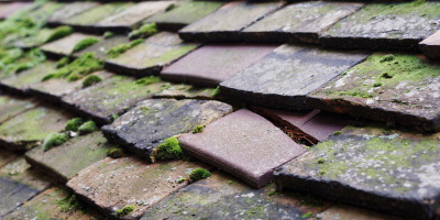 Llangristiolus roof repair costs